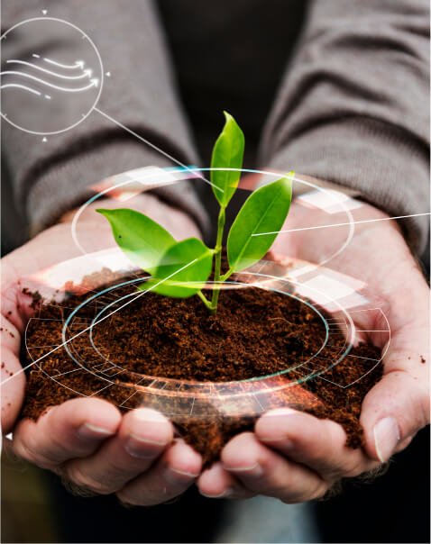 Eco image 1